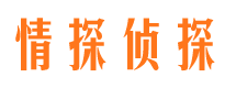 河池情探私家侦探公司